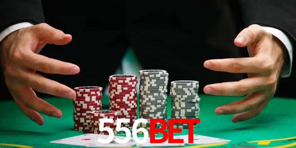556bet telegram